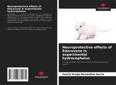 Copertina di Neuroprotective effects of Edaravone in experimental hydrocephalus