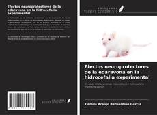 Copertina di Efectos neuroprotectores de la edaravona en la hidrocefalia experimental