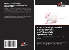 Capa do livro de Effetti neuroprotettivi dell'edaravone nell'idrocefalo sperimentale 