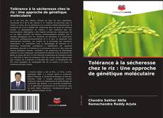 Copertina di Tolérance à la sécheresse chez le riz : Une approche de génétique moléculaire