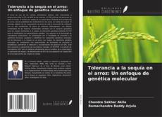 Copertina di Tolerancia a la sequía en el arroz: Un enfoque de genética molecular