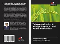 Capa do livro de Tolleranza alla siccità nel riso: Un approccio di genetica molecolare 