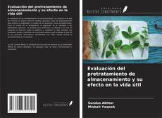 Copertina di Evaluación del pretratamiento de almacenamiento y su efecto en la vida útil