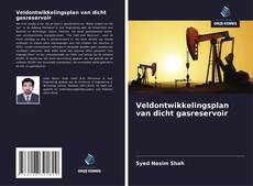 Veldontwikkelingsplan van dicht gasreservoir kitap kapağı