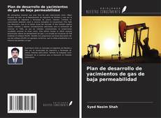 Copertina di Plan de desarrollo de yacimientos de gas de baja permeabilidad