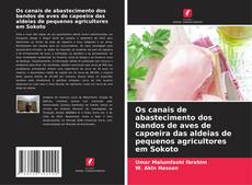 Copertina di Os canais de abastecimento dos bandos de aves de capoeira das aldeias de pequenos agricultores em Sokoto