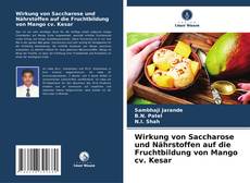 Copertina di Wirkung von Saccharose und Nährstoffen auf die Fruchtbildung von Mango cv. Kesar