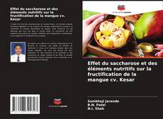 Copertina di Effet du saccharose et des éléments nutritifs sur la fructification de la mangue cv. Kesar