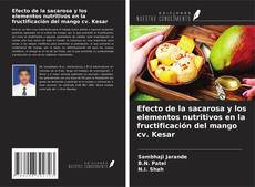 Copertina di Efecto de la sacarosa y los elementos nutritivos en la fructificación del mango cv. Kesar