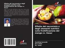 Copertina di Effetto del saccarosio e degli elementi nutritivi sulla fruttificazione del mango cv. Kesar