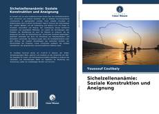 Copertina di Sichelzellenanämie: Soziale Konstruktion und Aneignung