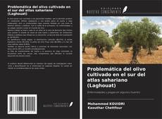 Problemática del olivo cultivado en el sur del atlas sahariano (Laghouat) kitap kapağı