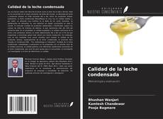 Обложка Calidad de la leche condensada