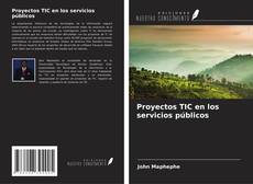 Capa do livro de Proyectos TIC en los servicios públicos 