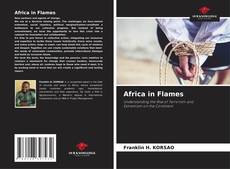 Copertina di Africa in Flames