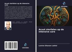 Acuut nierfalen op de intensive care kitap kapağı