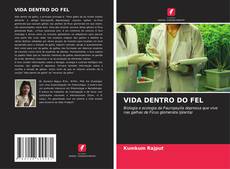 Copertina di VIDA DENTRO DO FEL