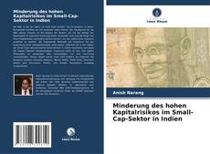 Copertina di Minderung des hohen Kapitalrisikos im Small-Cap-Sektor in Indien