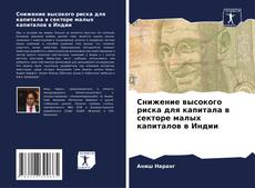 Copertina di Снижение высокого риска для капитала в секторе малых капиталов в Индии