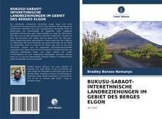 Copertina di BUKUSU-SABAOT-INTERETHNISCHE LANDBEZIEHUNGEN IM GEBIET DES BERGES ELGON