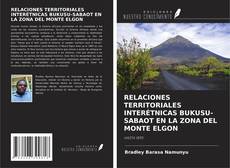 Copertina di RELACIONES TERRITORIALES INTERÉTNICAS BUKUSU-SABAOT EN LA ZONA DEL MONTE ELGON