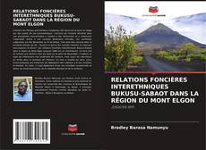 Copertina di RELATIONS FONCIÈRES INTERETHNIQUES BUKUSU-SABAOT DANS LA RÉGION DU MONT ELGON