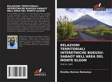 Copertina di RELAZIONI TERRITORIALI INTERETNICHE BUKUSU-SABAOT NELL'AREA DEL MONTE ELGON