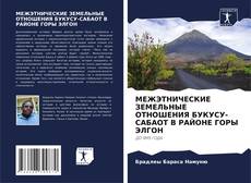 Copertina di МЕЖЭТНИЧЕСКИЕ ЗЕМЕЛЬНЫЕ ОТНОШЕНИЯ БУКУСУ-САБАОТ В РАЙОНЕ ГОРЫ ЭЛГОН