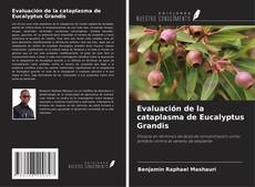 Copertina di Evaluación de la cataplasma de Eucalyptus Grandis