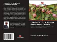 Copertina di Évaluation du cataplasme d'Eucalyptus Grandis