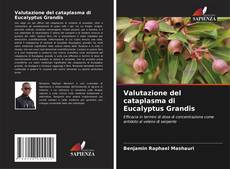 Valutazione del cataplasma di Eucalyptus Grandis kitap kapağı