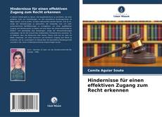 Copertina di Hindernisse für einen effektiven Zugang zum Recht erkennen