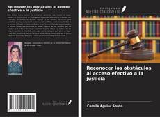 Copertina di Reconocer los obstáculos al acceso efectivo a la justicia