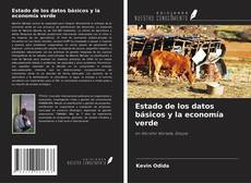 Copertina di Estado de los datos básicos y la economía verde