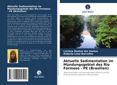 Copertina di Aktuelle Sedimentation im Mündungsgebiet des Rio Formoso - PE (Brasilien)