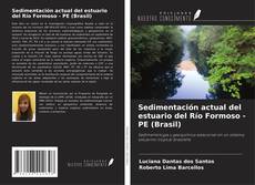 Buchcover von Sedimentación actual del estuario del Río Formoso - PE (Brasil)
