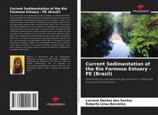 Copertina di Current Sedimentation of the Rio Formoso Estuary - PE (Brazil)