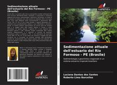 Borítókép a  Sedimentazione attuale dell'estuario del Rio Formoso - PE (Brasile) - hoz