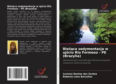 Copertina di Bieżąca sedymentacja w ujściu Rio Formoso - PE (Brazylia)