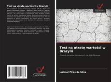 Portada del libro de Test na utratę wartości w Brazylii