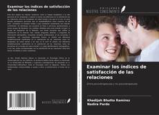 Buchcover von Examinar los índices de satisfacción de las relaciones