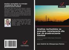 Capa do livro de Analiza rachunków za energię: rozwiązania dla kar za przekroczenie limitów 