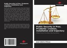 Portada del libro de Public Security in Pres. Prudente: creation, installation and trajectory