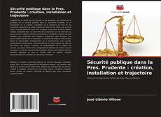 Sécurité publique dans la Pres. Prudente : création, installation et trajectoire的封面