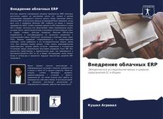 Внедрение облачных ERP的封面