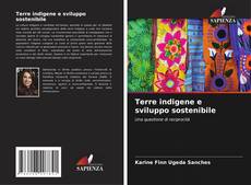 Terre indigene e sviluppo sostenibile的封面