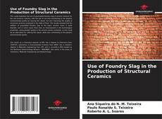Copertina di Use of Foundry Slag in the Production of Structural Ceramics