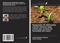 Buchcover von Respuesta de diferentes maíces blancos bajo estrés por exceso de humedad del suelo