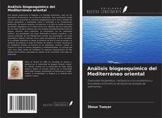 Borítókép a  Análisis biogeoquímico del Mediterráneo oriental - hoz
