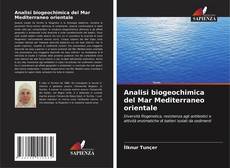 Portada del libro de Analisi biogeochimica del Mar Mediterraneo orientale